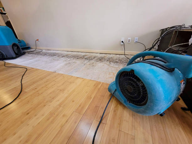 Professional Sewage Cleanup technician working in Vicksburg, MI